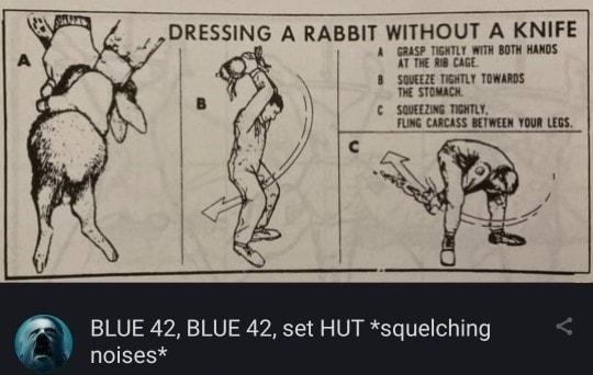 DRESSING A RABBIT WTHOUT A KNIFE e ancs s kS BT YO0R U055 s e BLUE 42 BLUE 42 set HUT squelching noises Donaldtrump1235