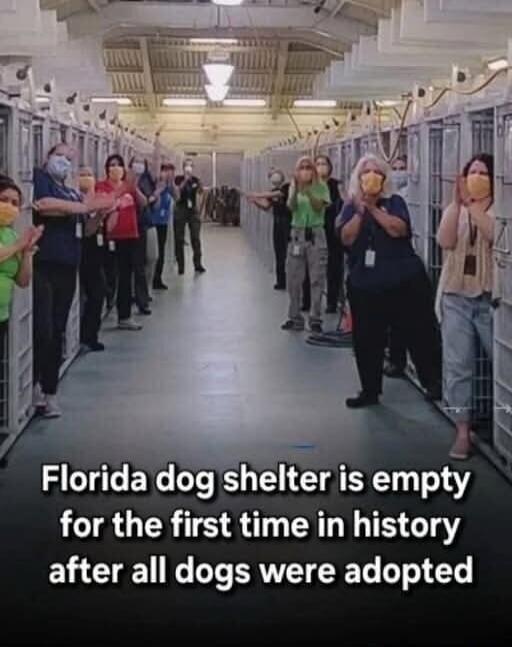 Florida dog shelter is empty for the first time in history after all dogs were adopted