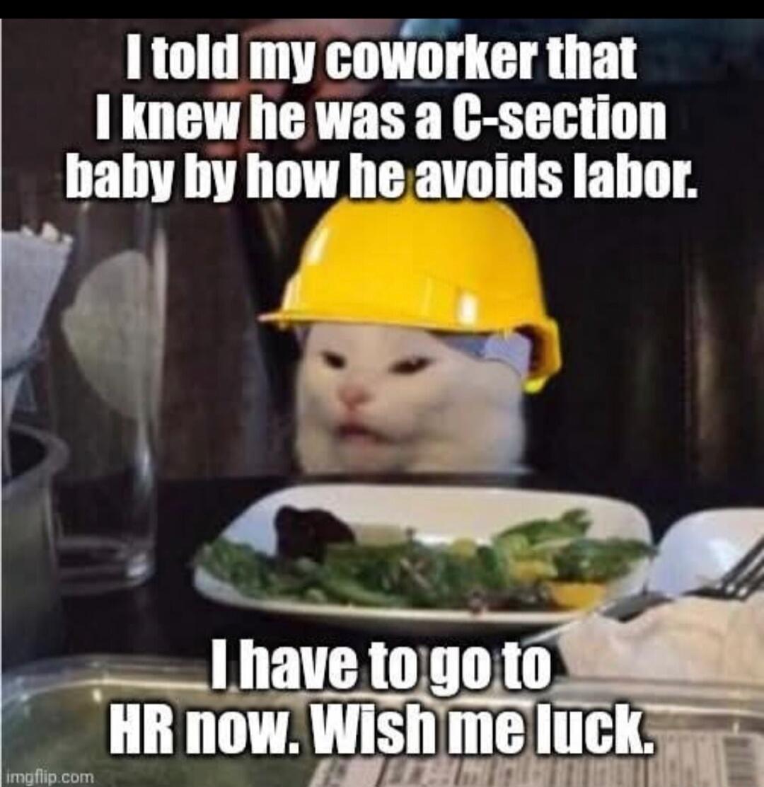 I told my coworker that I knew he was a C-section baby by how he avoids labor. I have to go to HR now. Wish me luck.