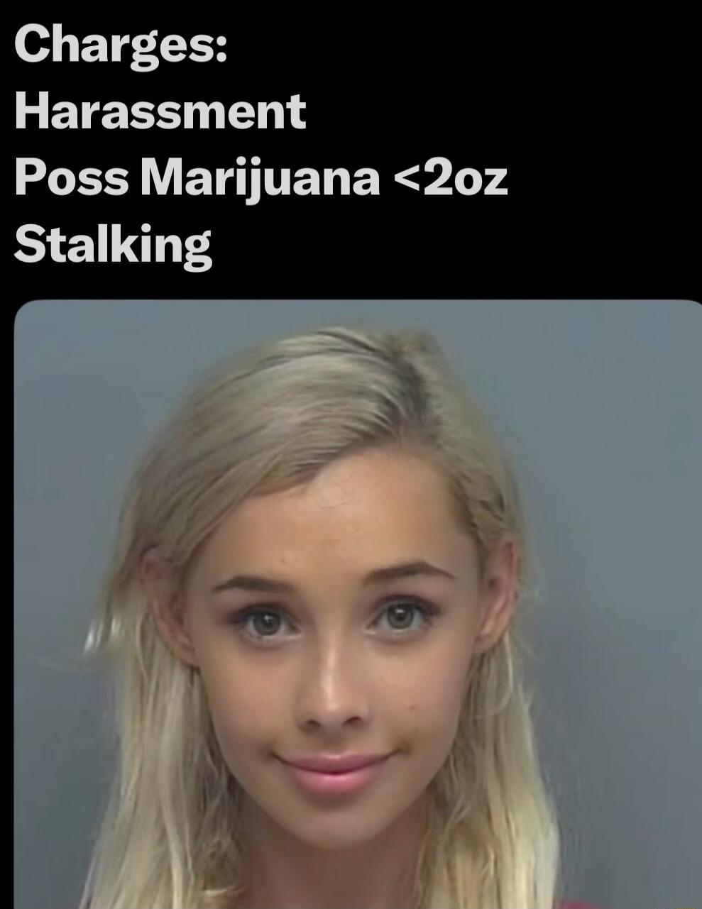 Charges: Harassment Poss Marijuana <2oz Stalking