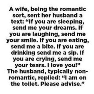 A wife being the romantic sort sent her husband a text If you are sleeping send me your dreams If you are laughing send me your smile If you are eating send me a bite If you are drinking send me a sip If you are crying send me your tears love you The husband typically non romantic replied l am on the tollet Please advise