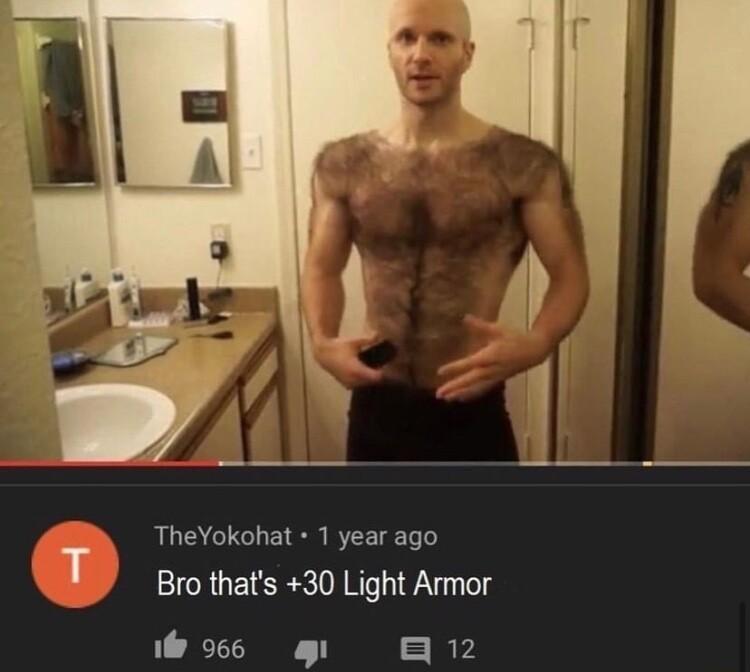 TheYokohat 1 year ago Bro thats 30 Light Armor i 956 4