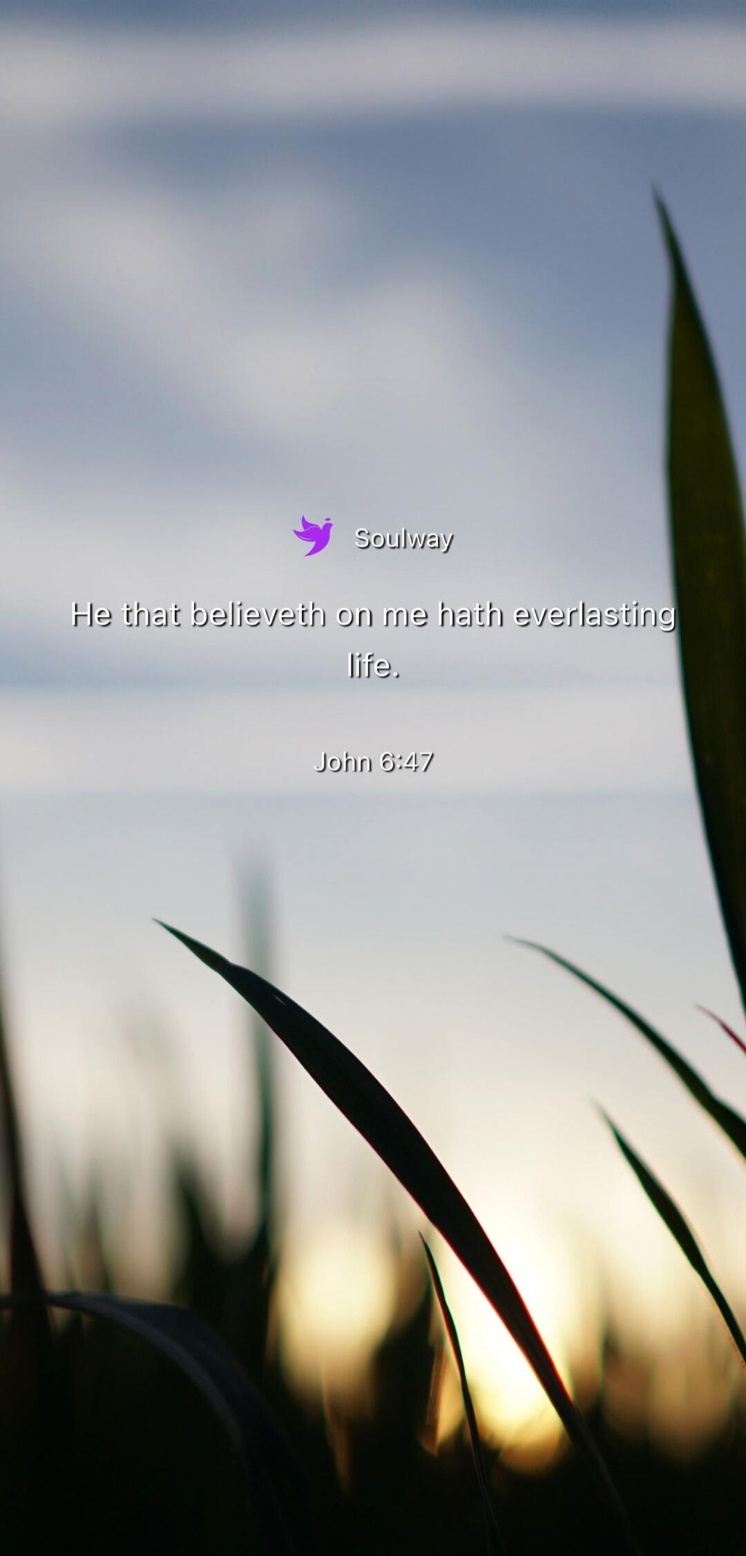 Soulway He that believeth on me hath everlasting life. John 6:47