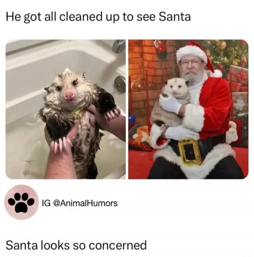 He got all cleaned up to see Santa
IG @AnimalHumors
Santa looks so concerned