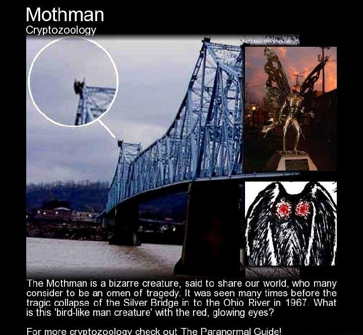 Mothman Cryptozoology The Mothman is a bizarre creature said to share our world who many consider to be an omen of tragedy It was seen many times before the tragic collapse of the Silver Bridge in to the Ohio River in 1967 What is this bird like man creature with the red glowing eyes For more crvptozooloav check out The Paranormal Guide