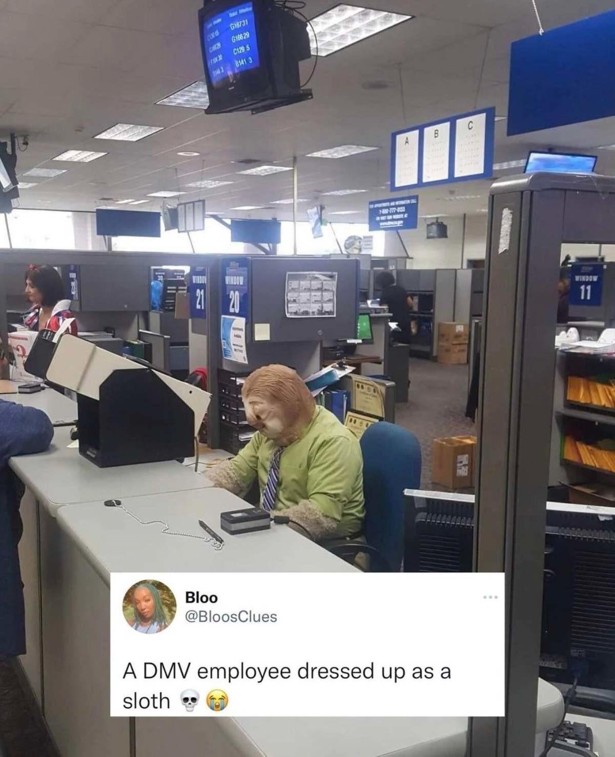 Bloo VY BloosClues A DMV employee dressed up as a sloth