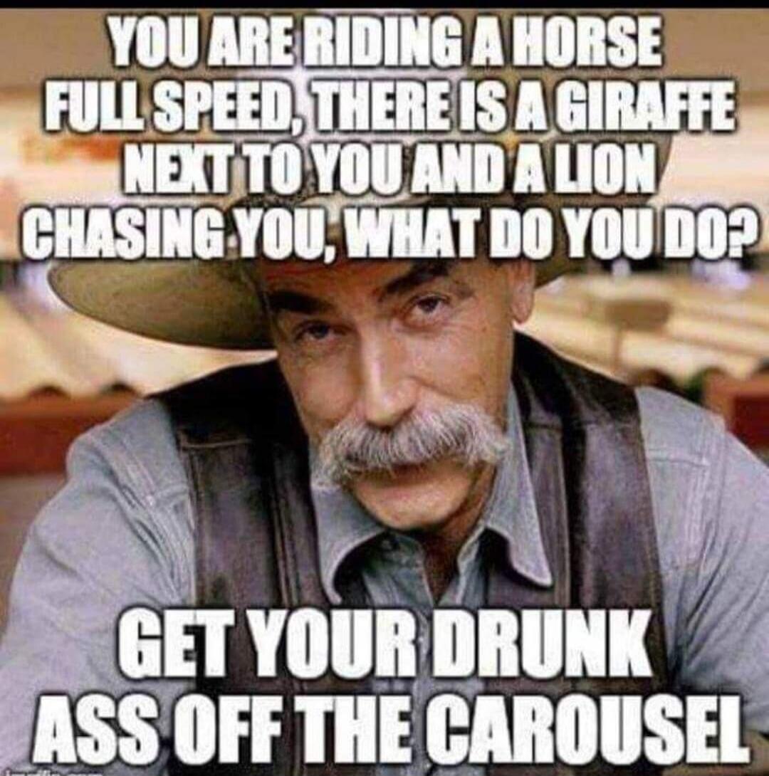 YOU ARE RIDING A HORSE FULL SPEED, THERE IS A GIRAFFE NEXT TO YOU AND A LION CHASING YOU, WHAT DO YOU DO? GET YOUR DRUNK ASS OFF THE CAROUSEL