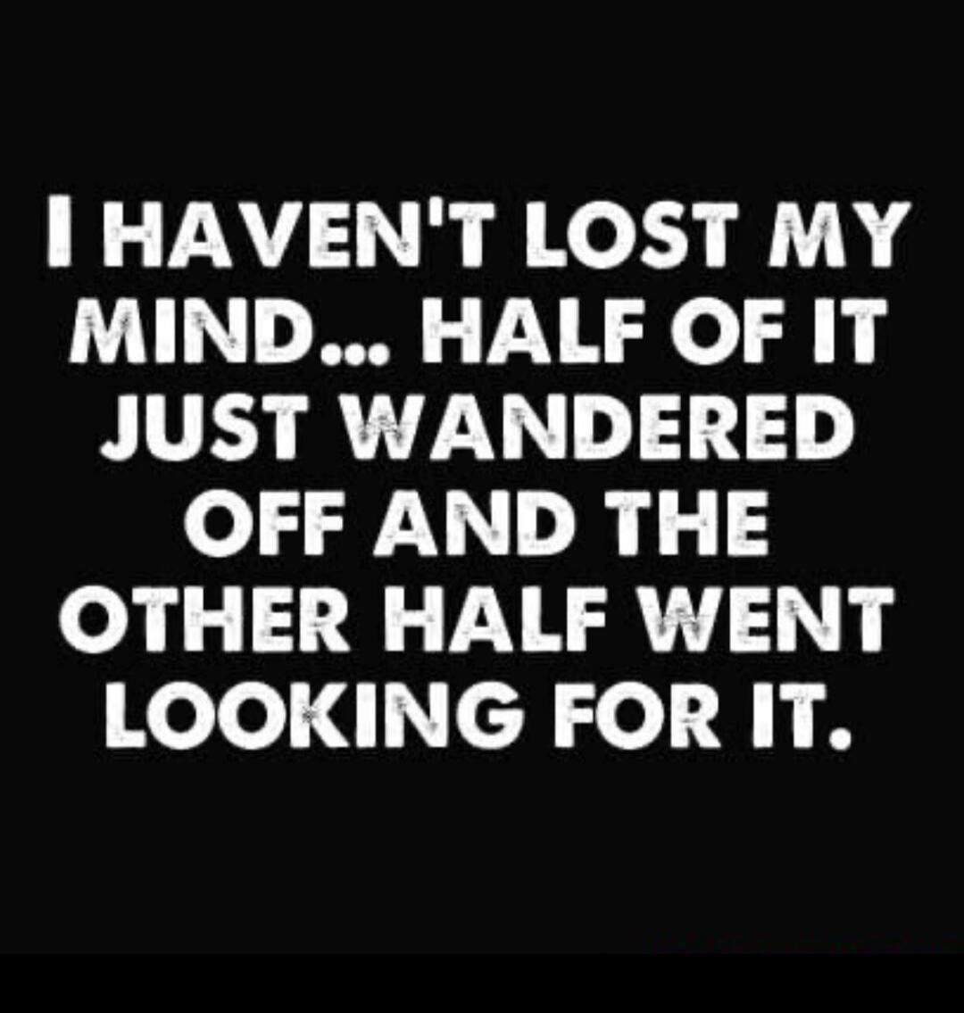 I HAVEN'T LOST MY MIND... HALF OF IT JUST WANDERED OFF AND THE OTHER HALF WENT LOOKING FOR IT.