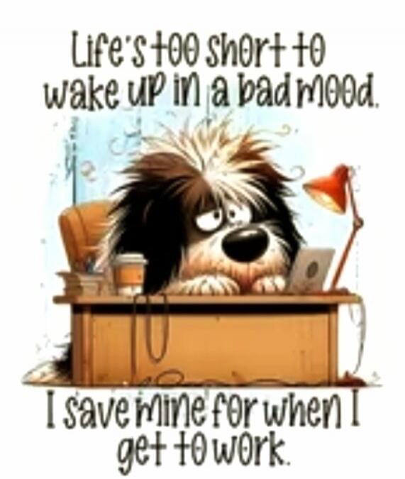 Life's too short to wake up in a bad mood. I save mine for when I get to work.