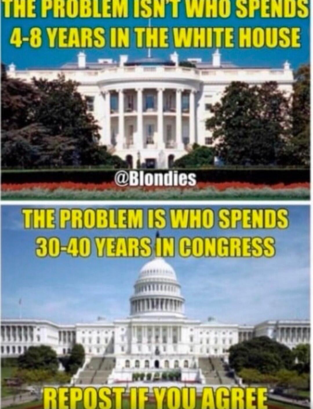 THE PROBLEM ISN'T WHO SPENDS 4-8 YEARS IN THE WHITE HOUSE THE PROBLEM IS WHO SPENDS 30-40 YEARS IN CONGRESS @Blondies REPOST IF YOU AGREE