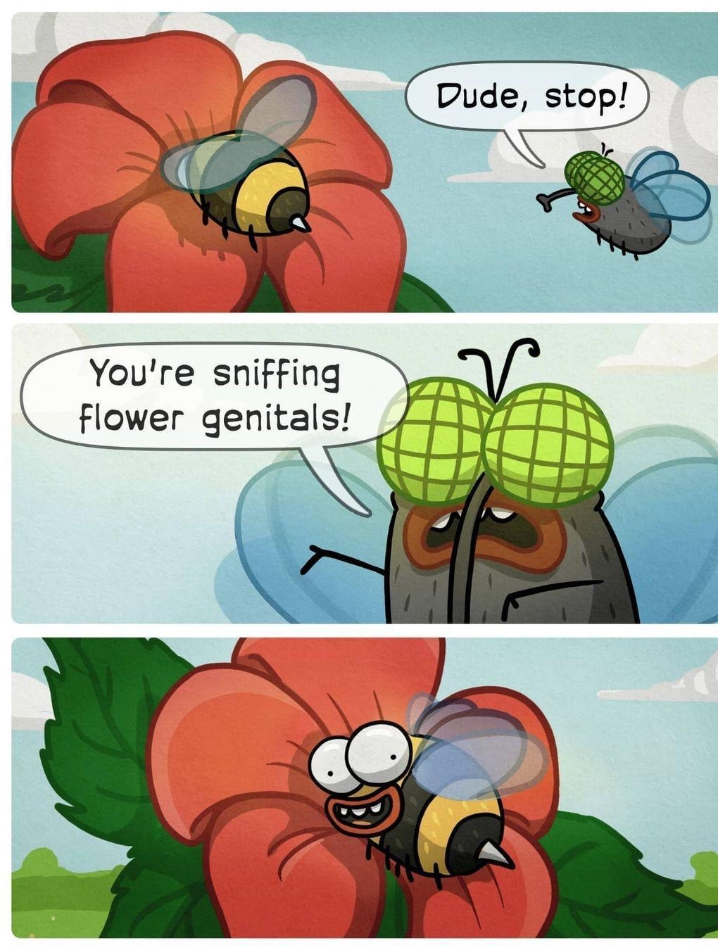 e Dude stop 2 B Youre sniffing flower genitals