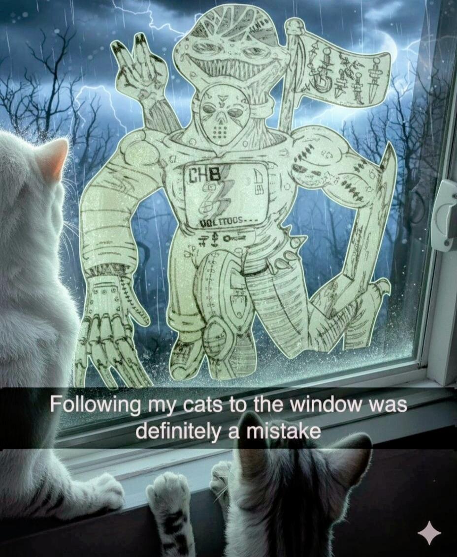Following my cats to the window was definitely a mistake