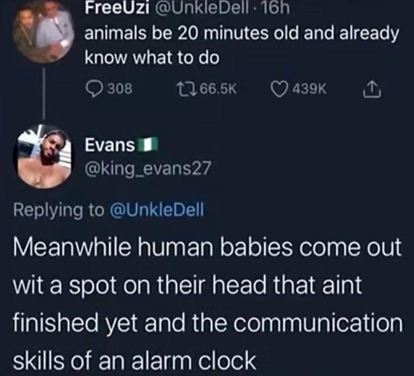 FreeUzi UnkleDell 16nh w animals be 20 minutes old and already know what to do KNL 11665k WLELTS SZLER 3 QIRCEEL Y VT RCRGIS RIS 1 Meanwhile human babies come out wit a spot on their head that aint finished yet and the communication skills of an alarm clock