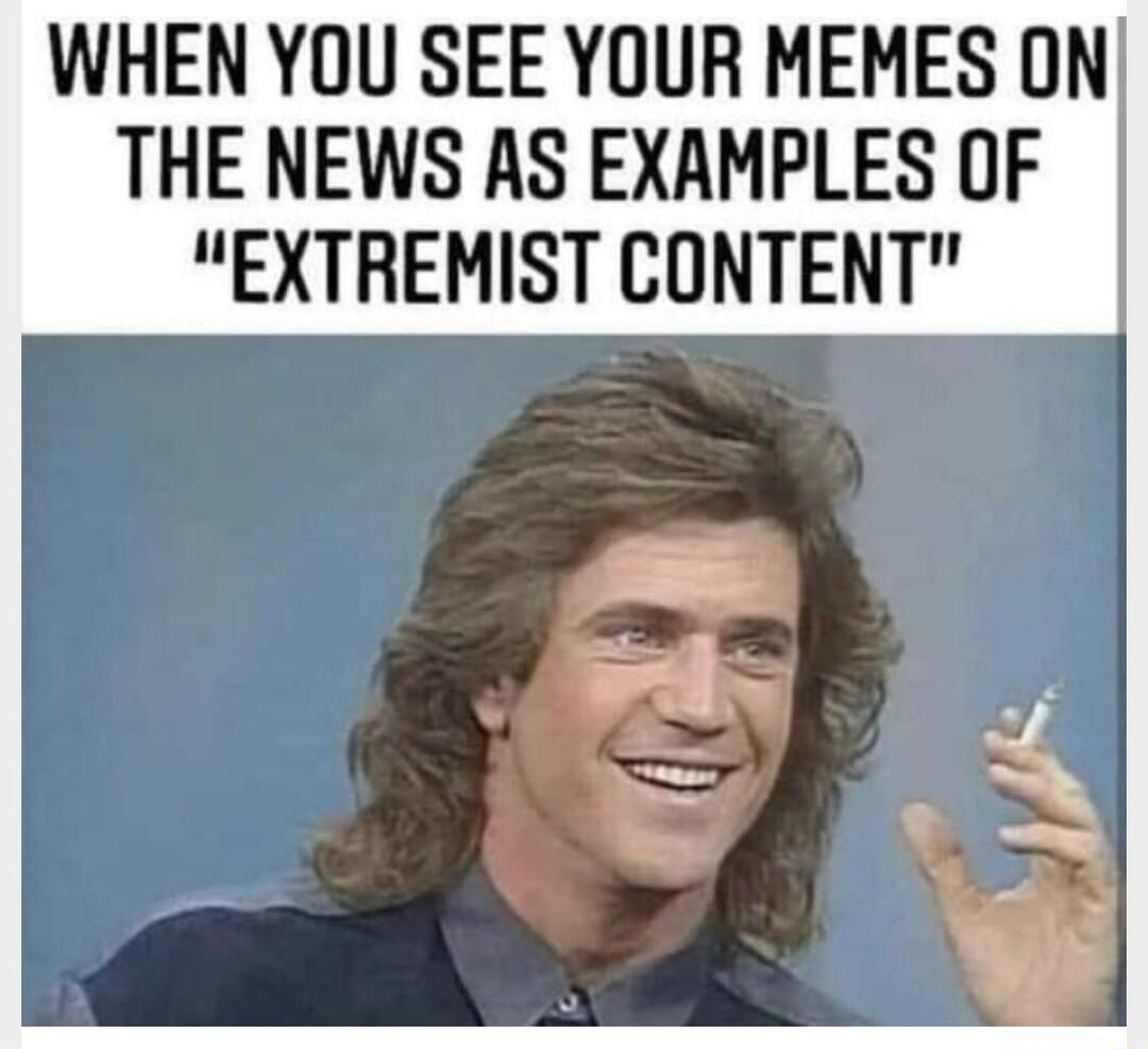 WHEN YOU SEE YOUR MEMES ON THE NEWS AS EXAMPLES OF EXTREMIST CONTENT