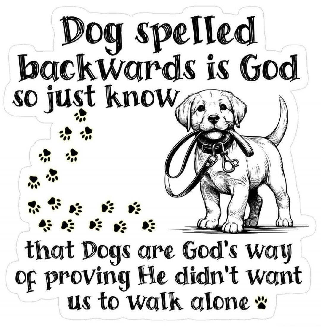 Dog spelled backwards is God so just know that Dogs are God's way of proving He didn't want us to walk alone