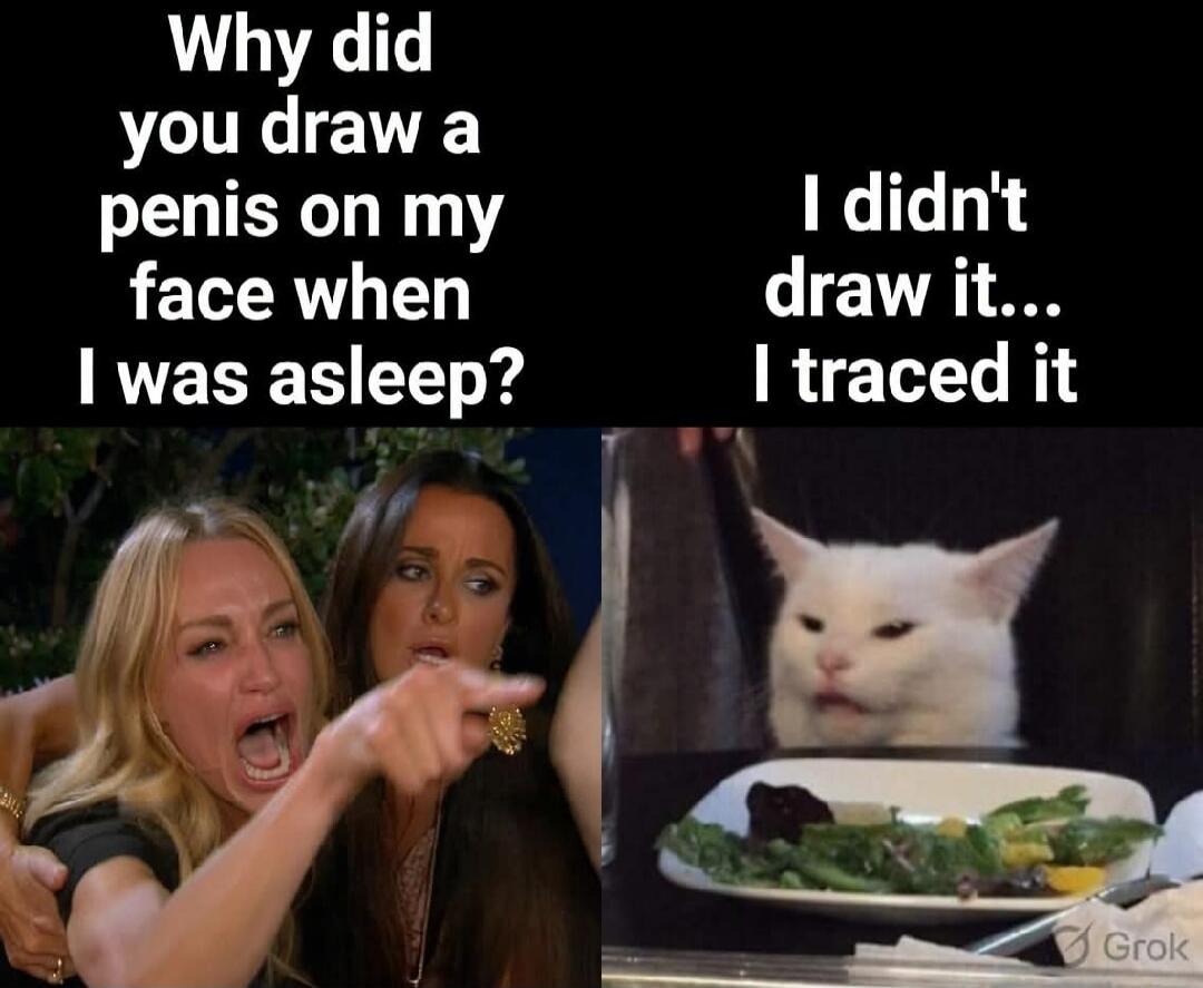 Why did you draw a penis on my face when I was asleep? I didn't draw it... I traced it