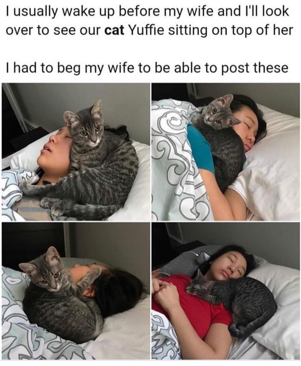 usually wake up before my wife and Ill look over to see our cat Yuffie sitting on top of her had to beg my wife to be able to post these