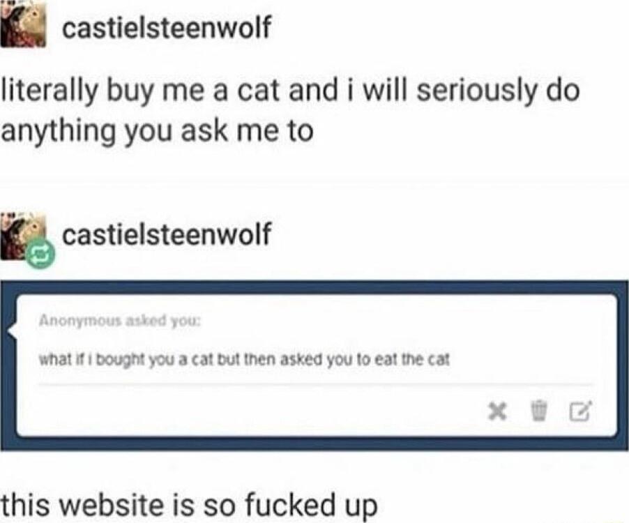 castielsteenwolf literally buy me a cat and i will seriously do anything you ask me to castielsteenwolf what bought you a cat but then asked you 10 eat the cat this website is so fucked up