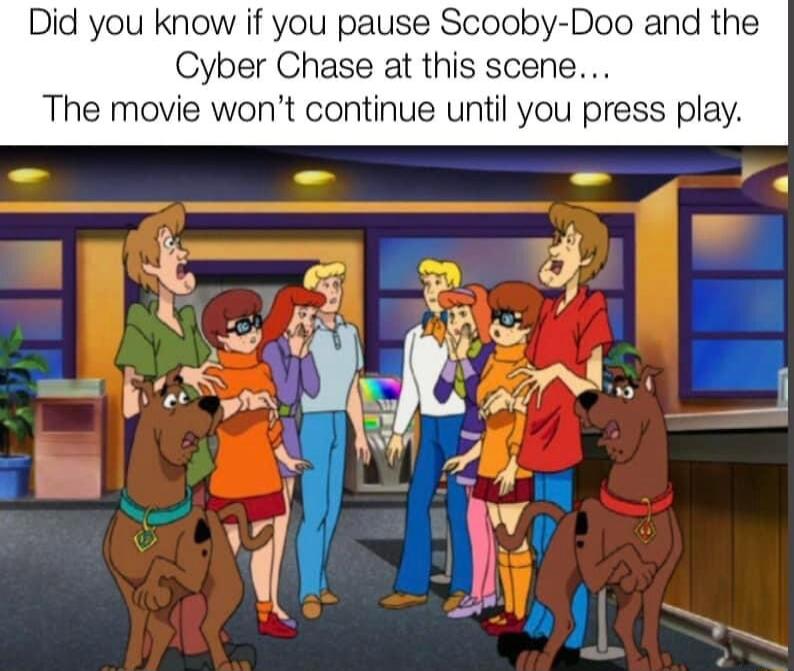 Did you know if you pause Scooby Doo and the Cyber Chase at this scene The movie wont continue until you press play