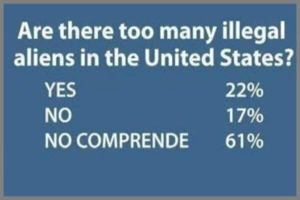 Are there too many illegal aliens in the United States? YES 22% NO 17% NO COMPRENDE 61%