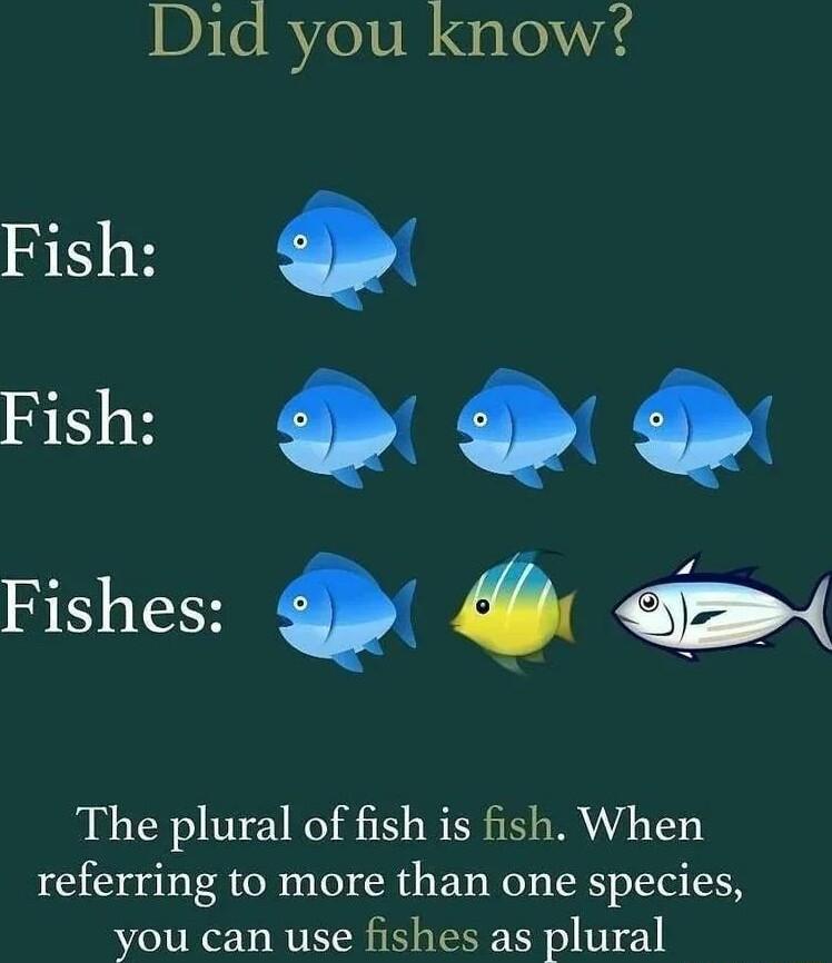Did you know Fish Q Fish i g Fishes The plural of fish is fish When referring to more than one species you can use fishes as plural