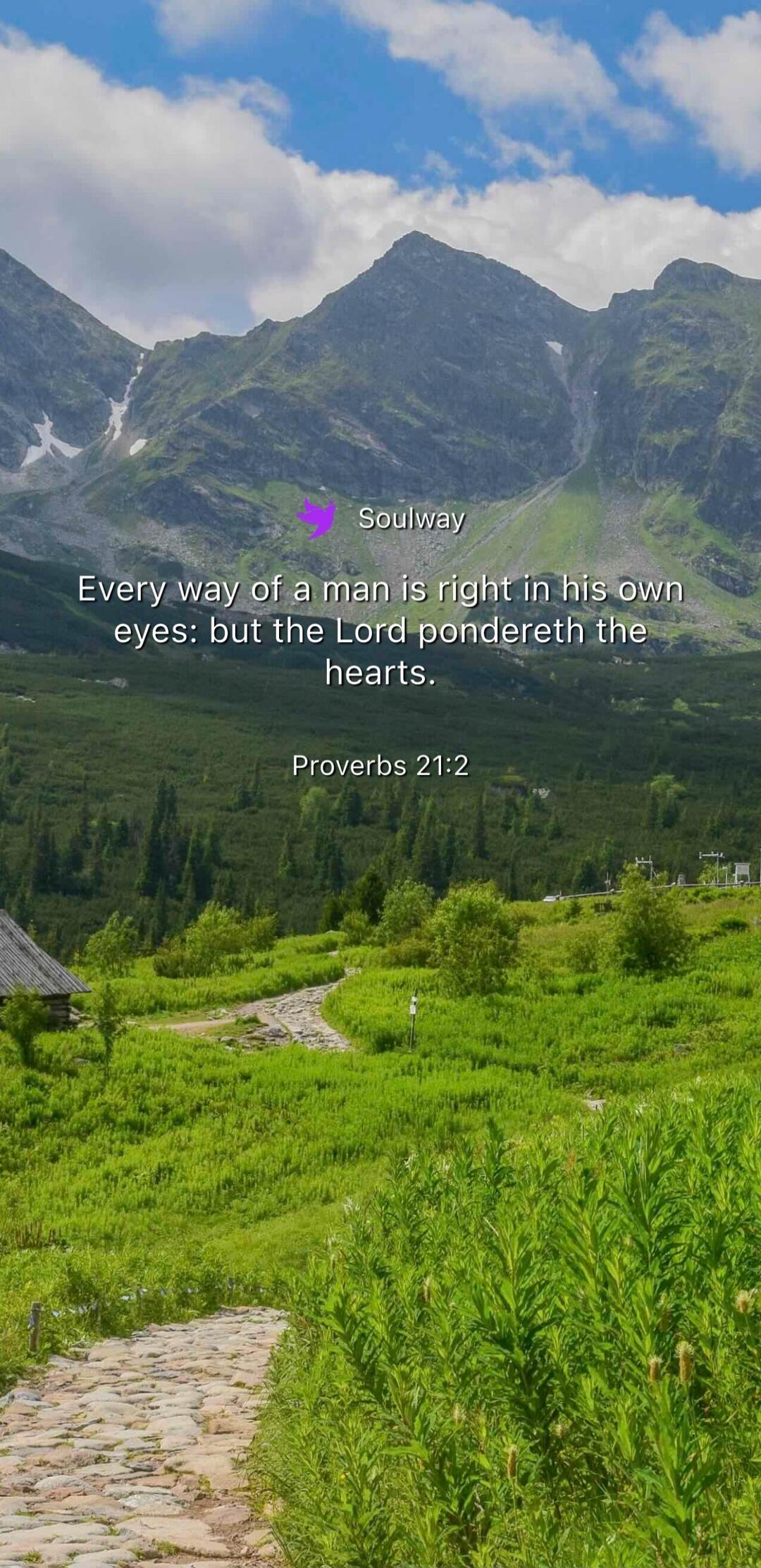 Soulway
Every way of a man is right in his own eyes: but the Lord pondereth the hearts.
Proverbs 21:2