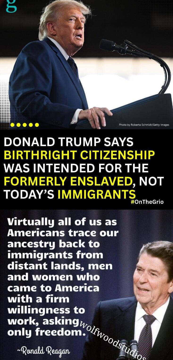 DONALD TRUMP SAYS BIRTHRIGHT CITIZENSHIP WAS INTENDED FOR THE FORMERLY ENSLAVED, NOT TODAY'S IMMIGRANTS. Virtually all of us as Americans trace our ancestry back to immigrants from distant lands, men and women who came to America with a firm willingness to work, asking only freedom. ~Ronald Reagan