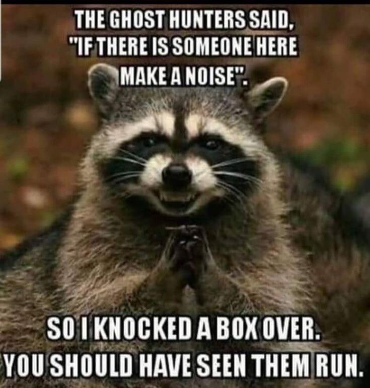 THE GHOST HUNTERS SAID, 