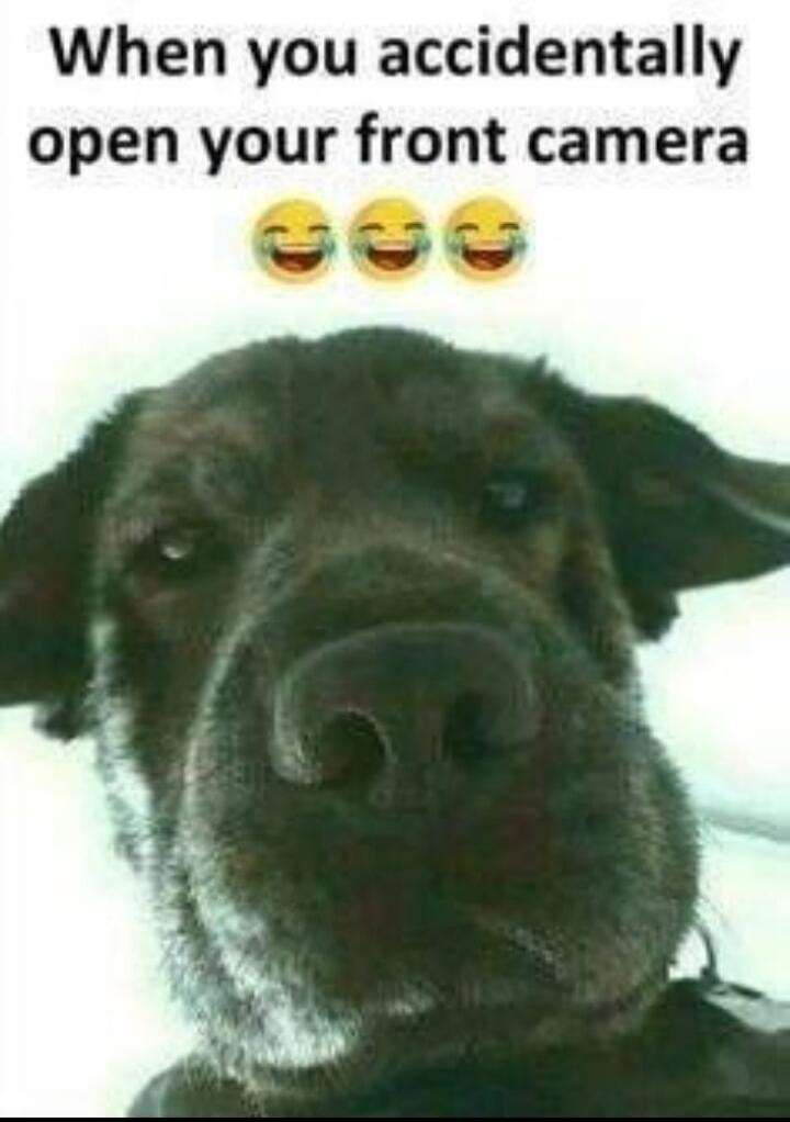 When you accidentally open your front camera 😂😂😂