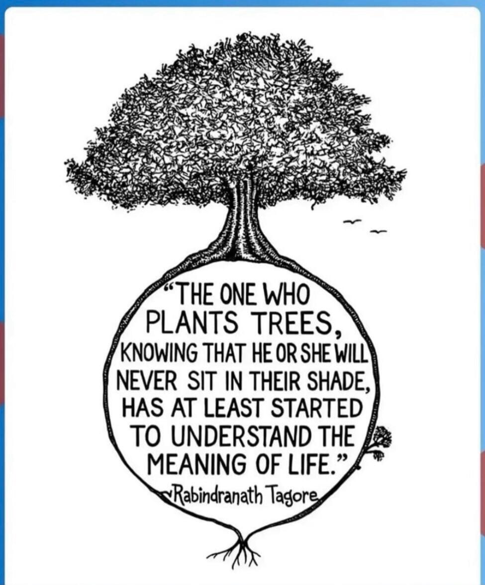 THE ONE WHO PLANTS TREES, KNOWING THAT HE OR SHE WILL NEVER SIT IN THEIR SHADE, HAS AT LEAST STARTED TO UNDERSTAND THE MEANING OF LIFE. Rabindranath Tagore