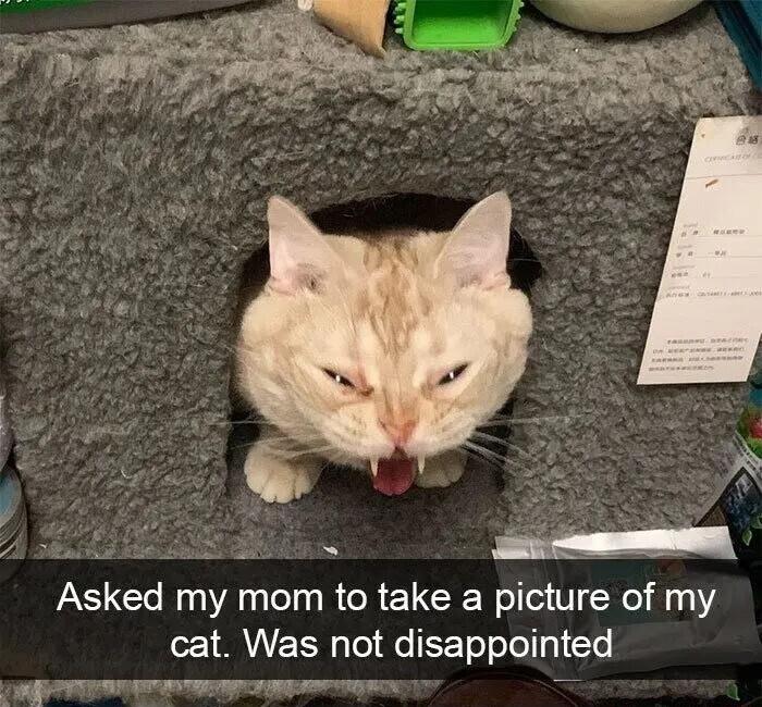 Ealiin i Asked my mom to take a picture of my 1 MUEE Tel e T ol elol g1 lo R T P oy