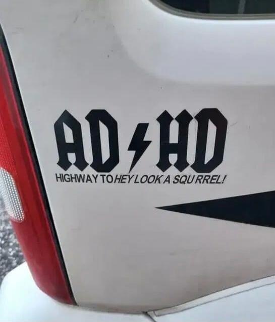 ADHD HIGHWAY TO HEY LOOK A SQUIRREL!