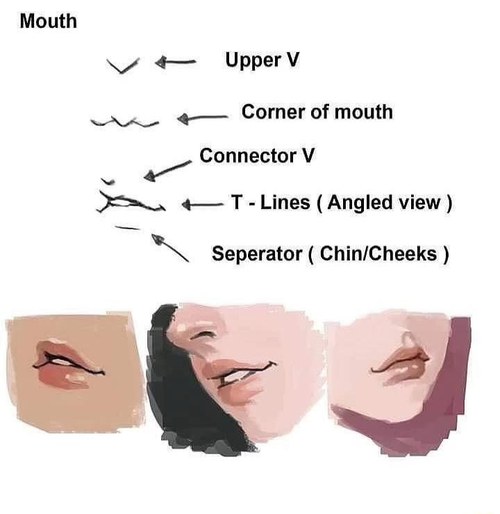 Mouth
Upper V
Corner of mouth
Connector V
T - Lines ( Angled view )
Seperator ( Chin/Cheeks )