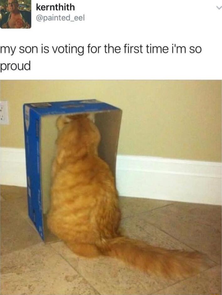 my son is voting for the first time im so proud