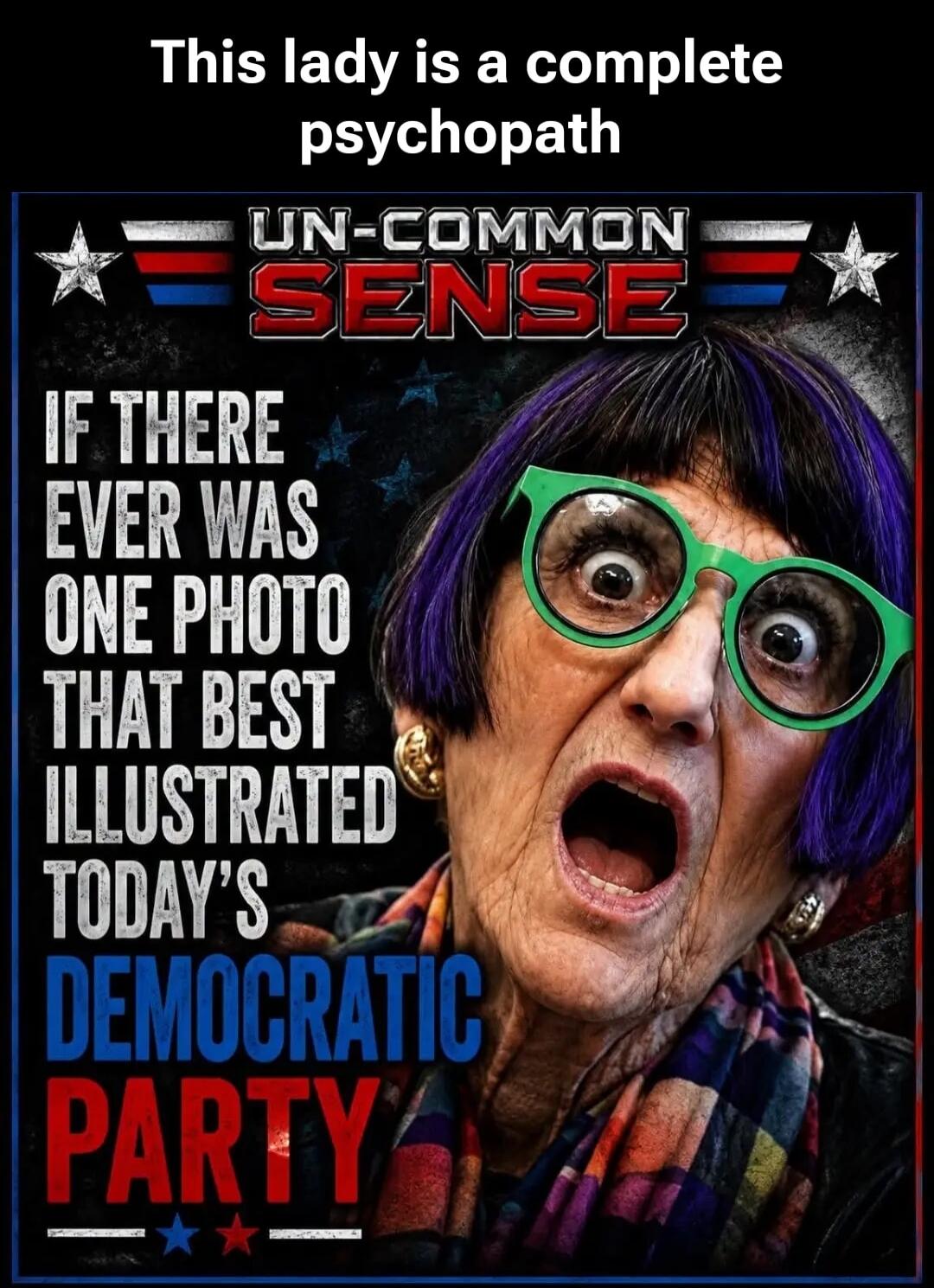 This lady is a complete psychopath. UN-COMMON SENSE. If there ever was one photo that best illustrated today's Democratic Party.