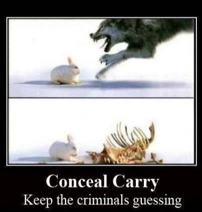 Conceal Carry
Keep the criminals guessing