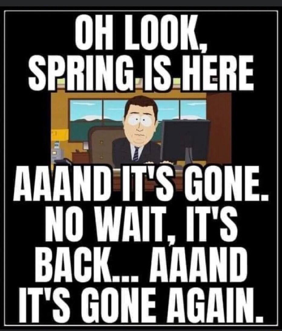 OH LOOK SPIEHG 1S EEBE AARNDITS GONE NO WAIT ITS BACK AAAND ITS GONE AGAIN