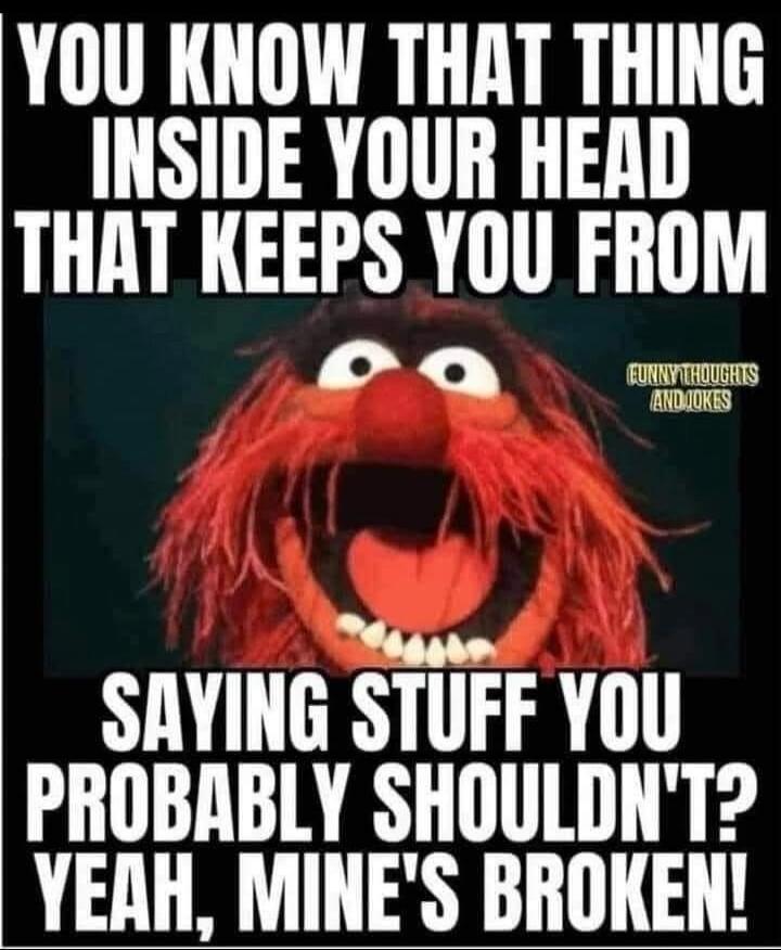 YOU KNOW THAT THING INSIDE YOUR HEAD THAT KEEPS YOU FROM SAYING STUFF YOU PROBABLY SHOULDN'T? YEAH, MINE'S BROKEN! FUNNY THOUGHTS AND JOKES