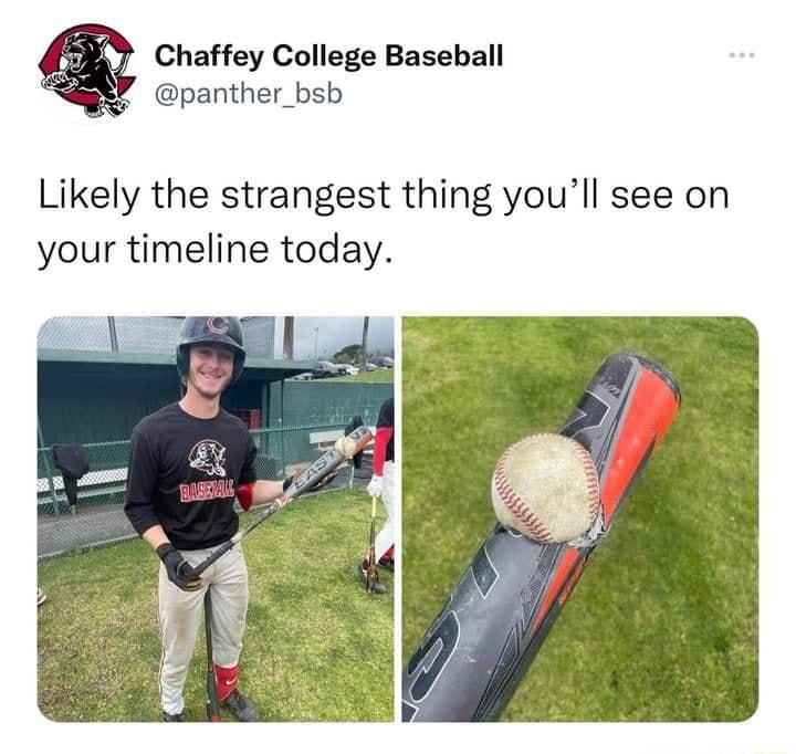 Chaffey College Baseball panther_bsb Likely the strangest thing youll see on your timeline today