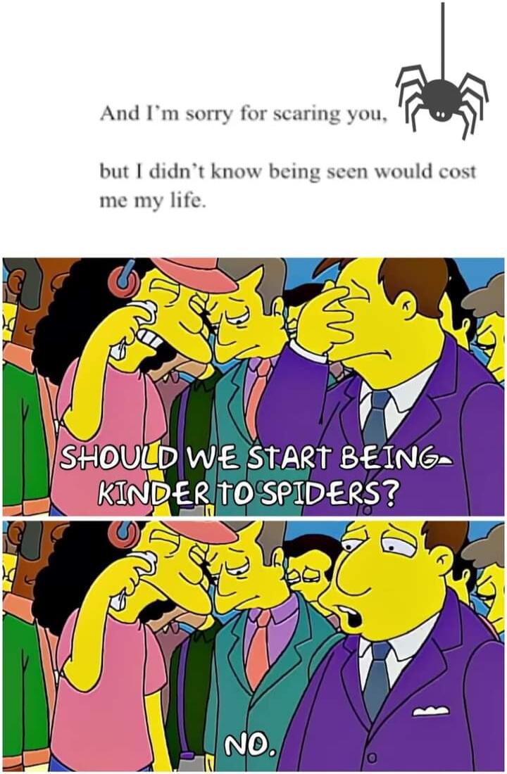 And Im sorry for scaring you but I didnt know being seen would cost me my life i 2 g SHOULD WE START BEING KINRER TOSPIDERS 5 Lo dalo 4 vr J K W
