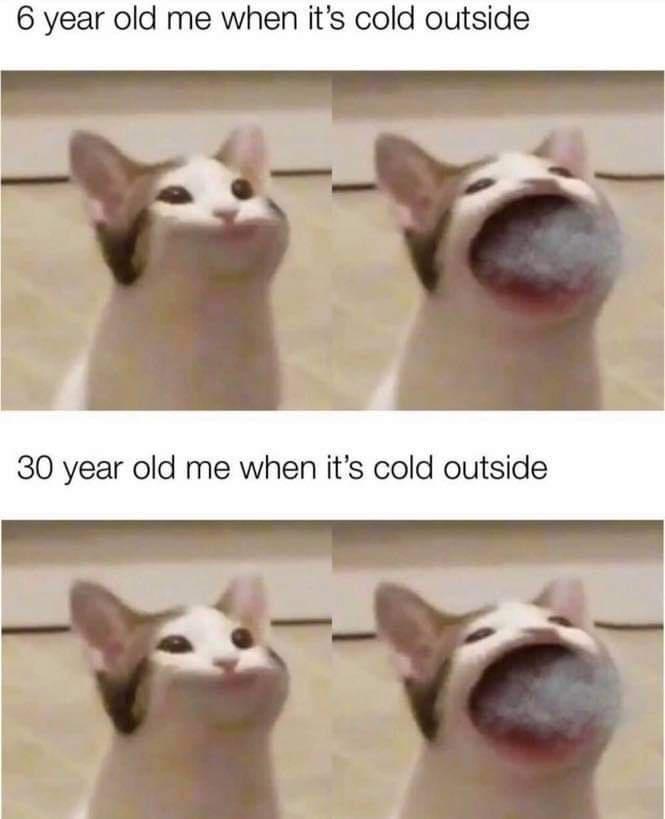 6 year old me when its cold outside 30 year old me when its cold outside