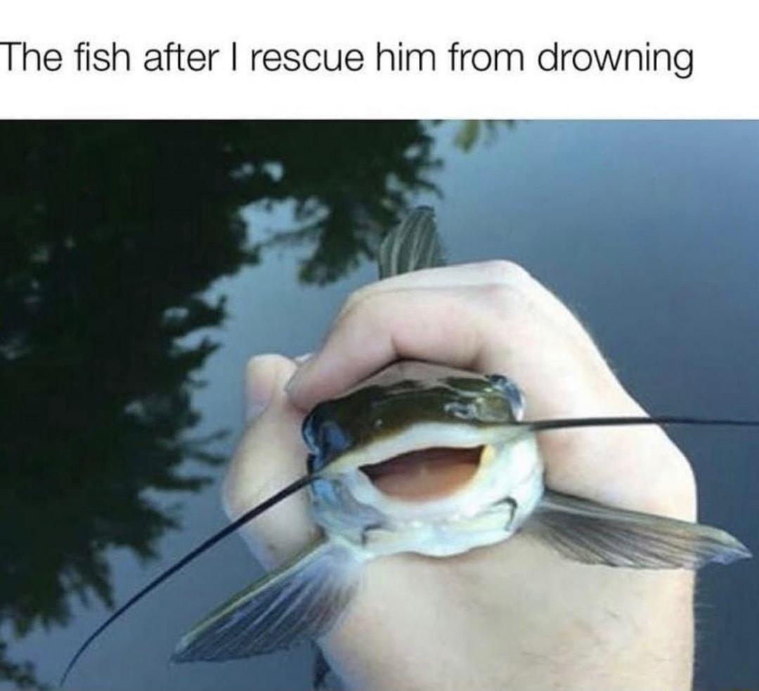 he fish after rescue him from drowning