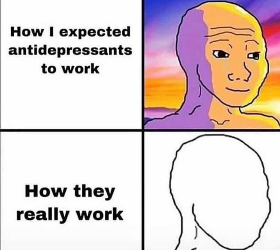 How expected antidepressants to work How they really work