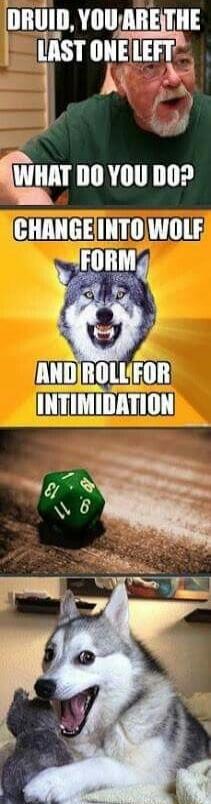 DRUID, YOU ARE THE LAST ONE LEFT WHAT DO YOU DO? CHANGE INTO WOLF FORM AND ROLL FOR INTIMIDATION