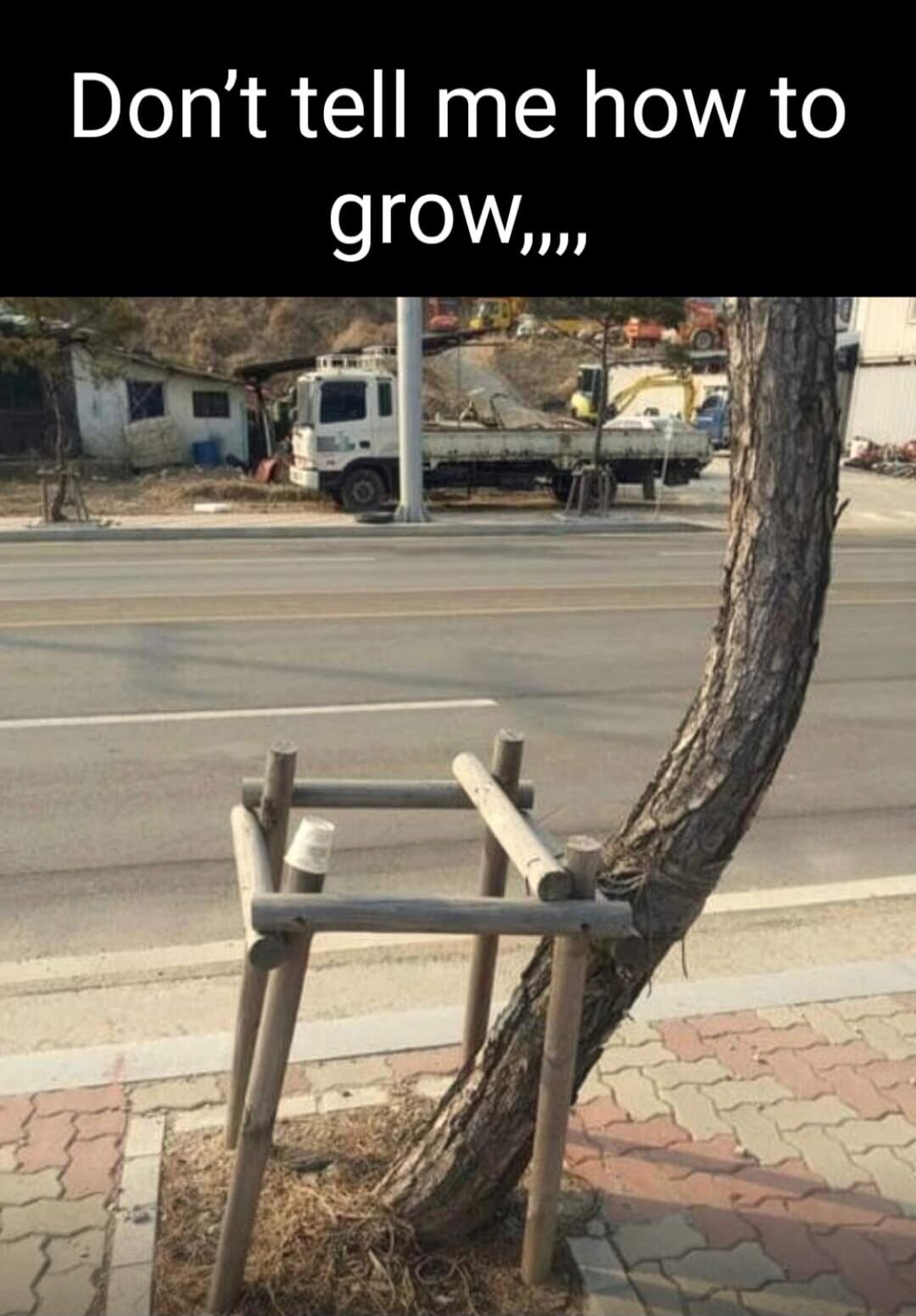 Don't tell me how to grow,,,
