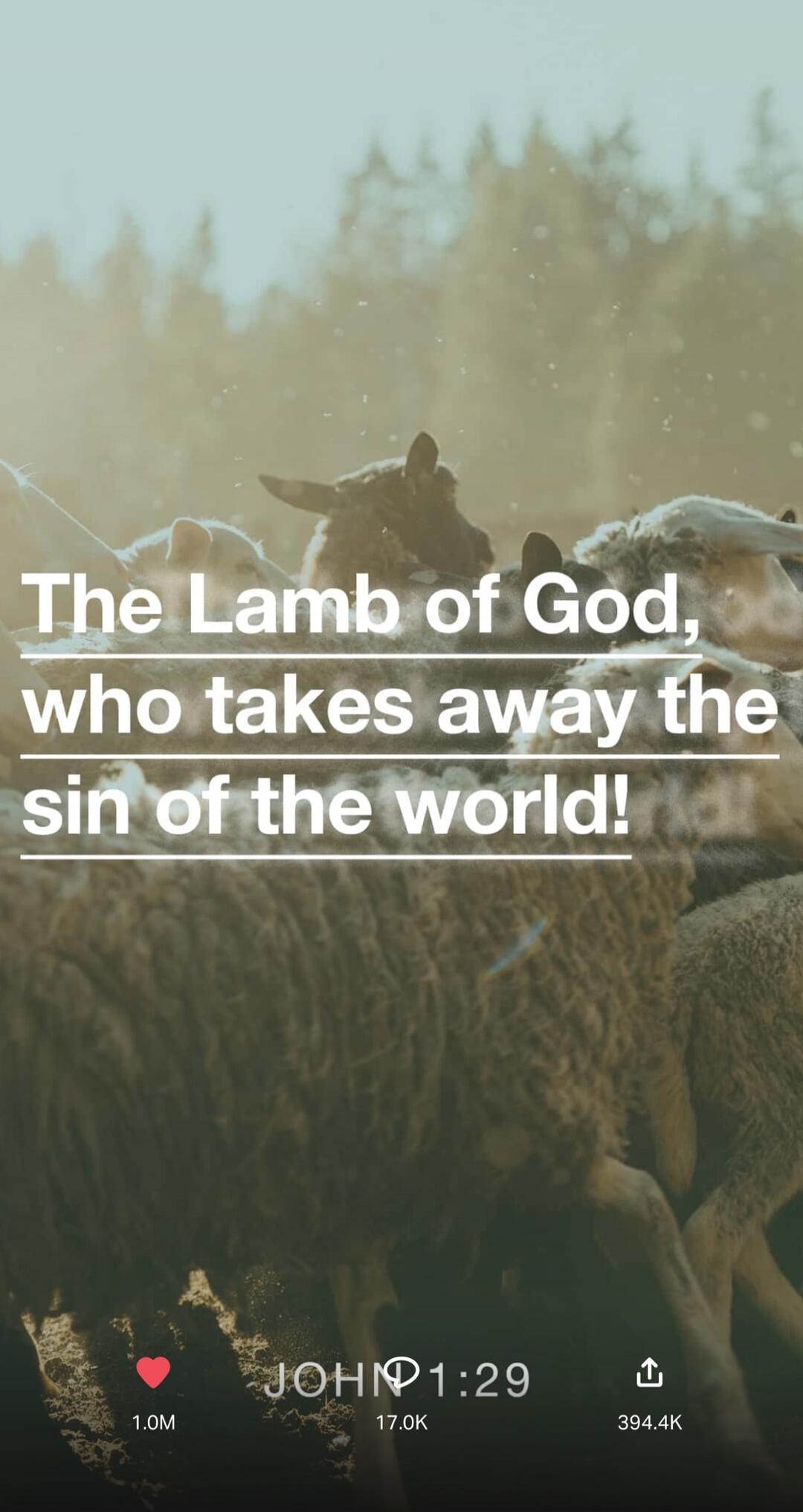 The Lamb of God, who takes away the sin of the world! JOHN 1:29