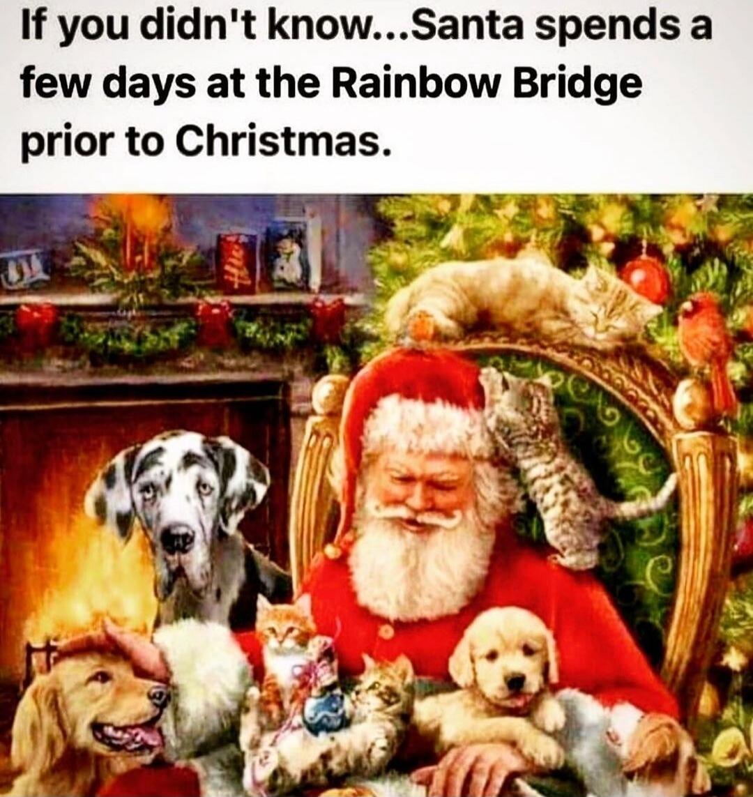 If you didn't know...Santa spends a few days at the Rainbow Bridge prior to Christmas.