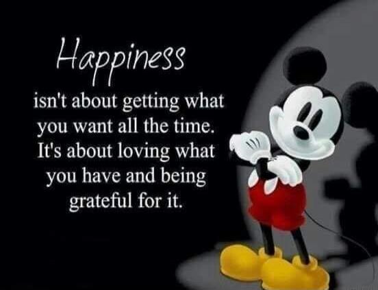 Happiness isn't about getting what you want all the time. It's about loving what you have and being grateful for it.