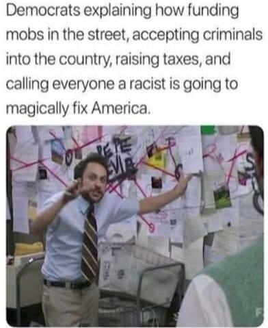Democrats explaining how funding mobs in the street, accepting criminals into the country, raising taxes, and calling everyone a racist is going to magically fix America.