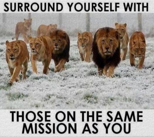 SURROUND YOURSELF WITH THOSE ON THE SAME MISSION AS YOU